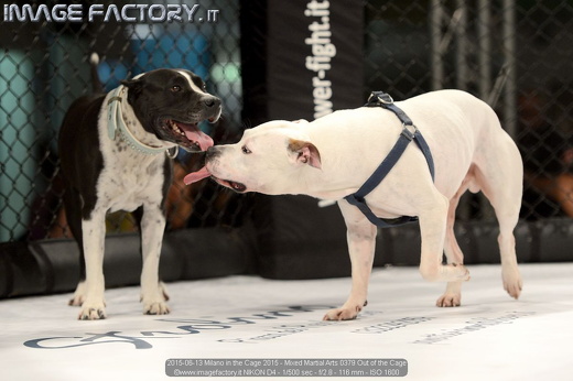2015-06-13 Milano in the Cage 2015 - Mixed Martial Arts 0379 Out of the Cage